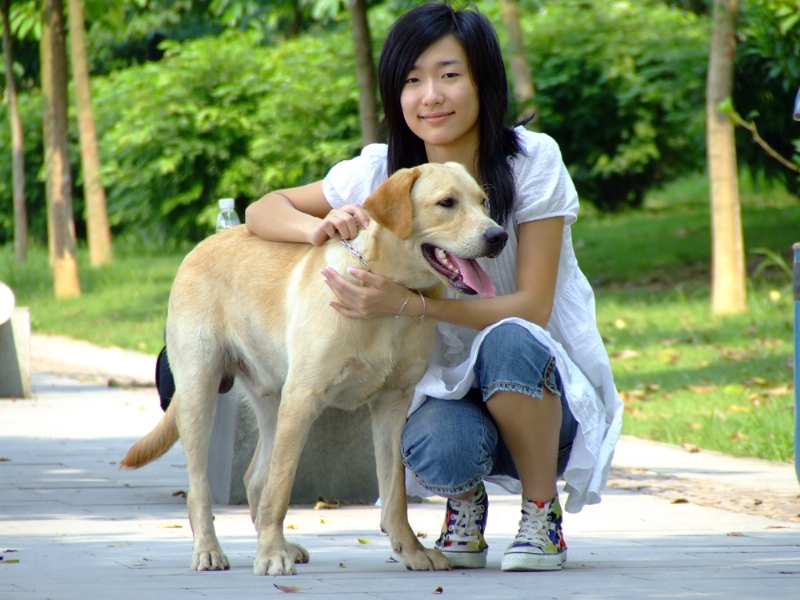 风中的绿叶的第一张照片--贵阳相亲服务中心