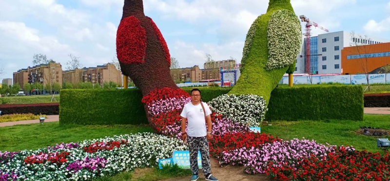 尘埃的第一张照片--贵阳相亲服务中心