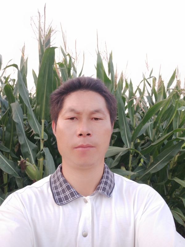 四海游龙的第二张照片--贵阳相亲服务中心