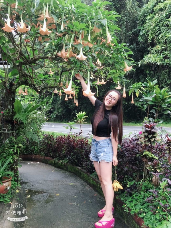 离异单身无子的第二张照片--贵阳相亲服务中心