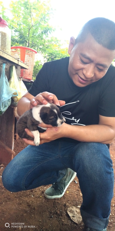 深圳相亲的第一张照片--贵阳相亲服务中心