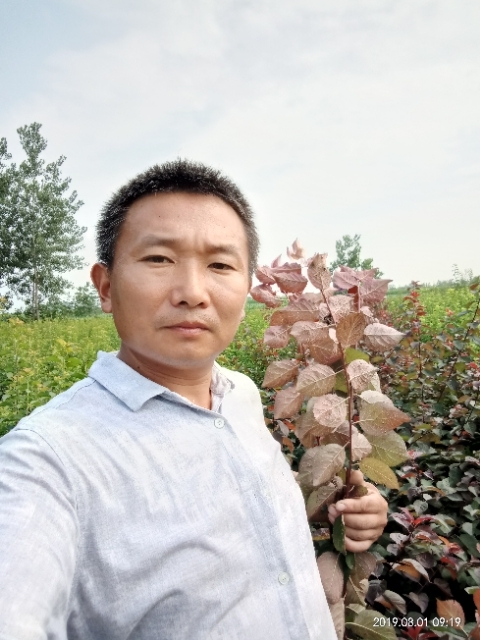 孩子爸的第一张照片--贵阳相亲服务中心