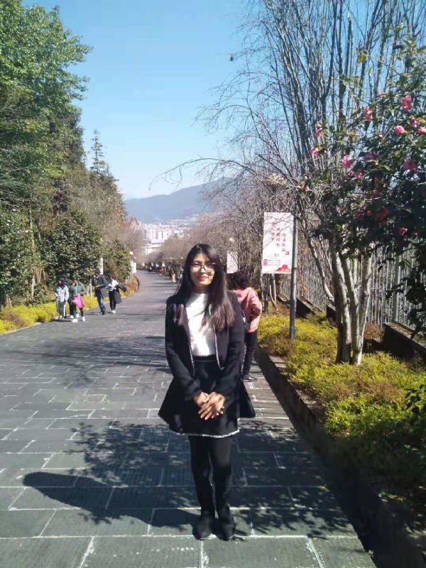 窗台上的桔梗的第一张照片--贵阳相亲服务中心