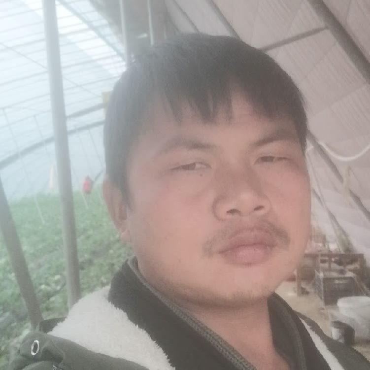 孤狼‘的第一张照片--贵阳相亲服务中心