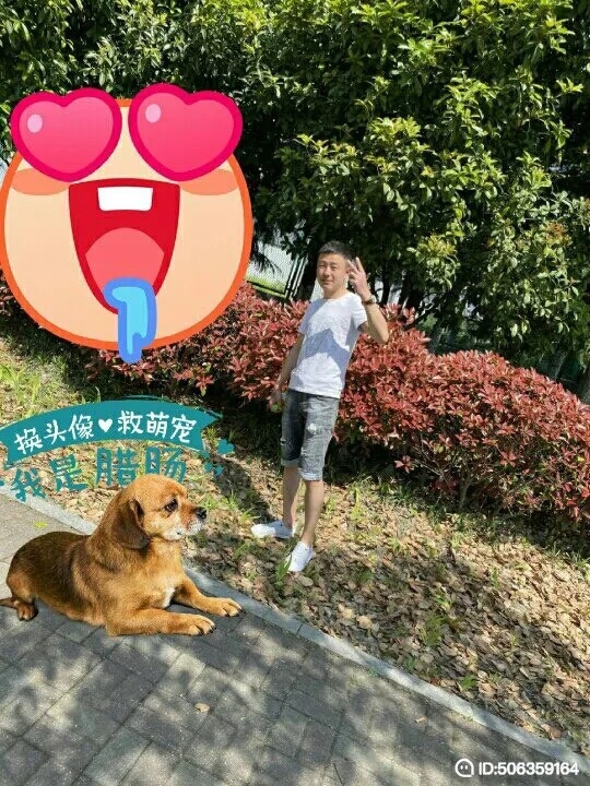 我若不坚强谁替我勇敢的第五张照片--贵阳相亲服务中心