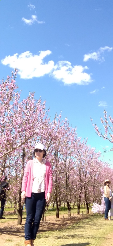 Grace的第二张照片--贵阳相亲服务中心