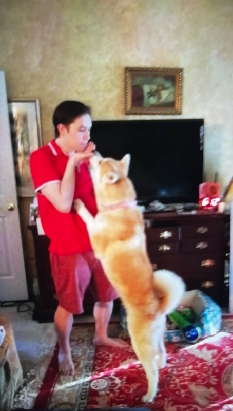 Leluch的第一张照片--贵阳相亲服务中心