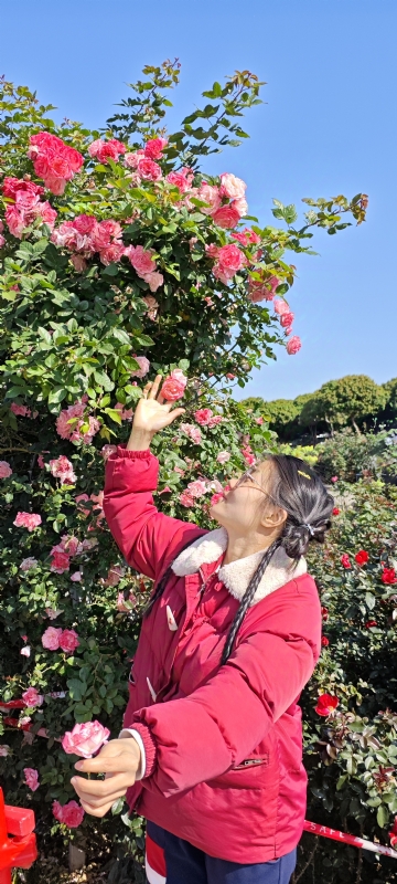 狗狗的第一张照片--贵阳相亲服务中心