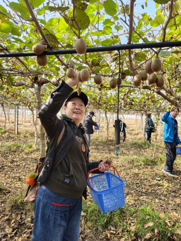 夜莺的第三张照片--贵阳相亲服务中心